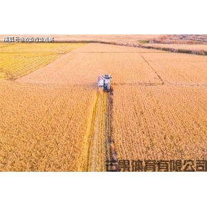 芒果体育公司：农业行业观察中国农机迈入智能农机时代